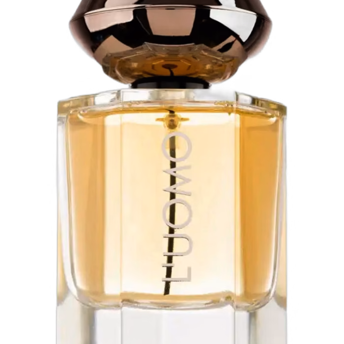 L'Uomo Fragrance World Masculino 100ml dupe do L'Homme YSL